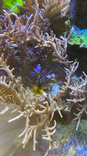 IMG_3938.jpeg