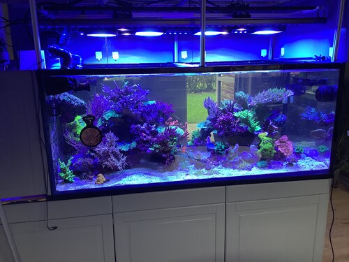 After water change