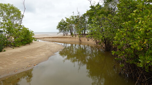 DSC07792.JPG