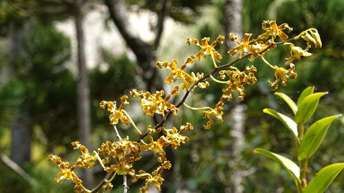 DSC07610.JPG