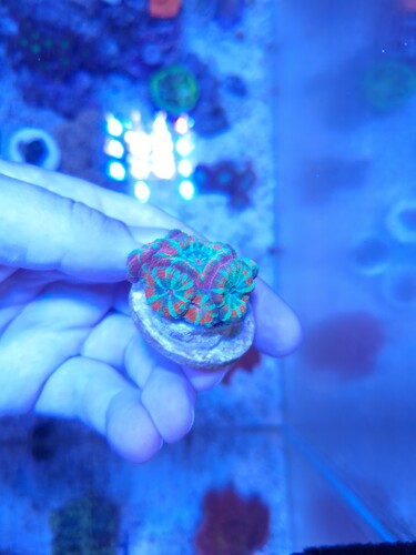 20240824_122911.jpg