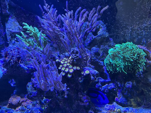 IMG_5855.jpeg