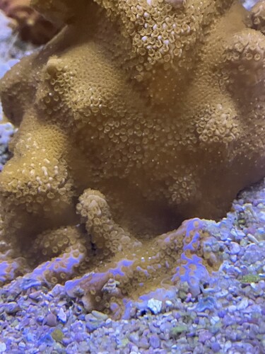 IMG_2123.jpeg