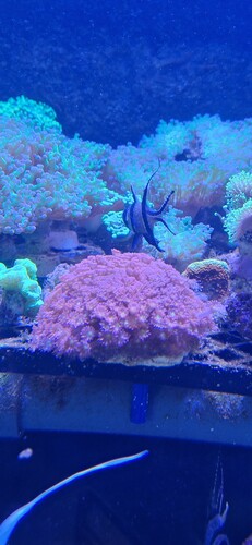 Screenshot_20240912_112036_Gallery.jpg