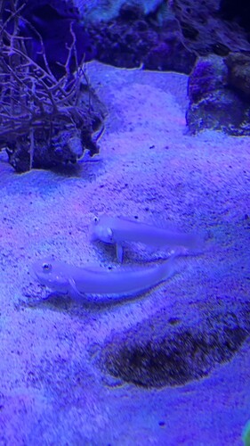 IMG_4322.jpeg