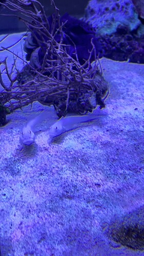 IMG_4324.jpeg