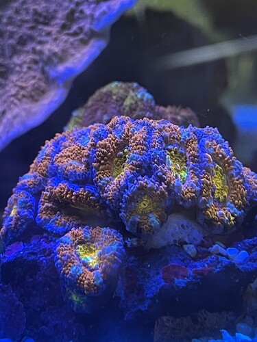 IMG_4081.jpeg