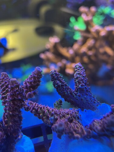 Frag02