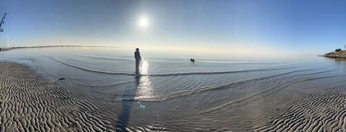 IMG_1183.jpeg