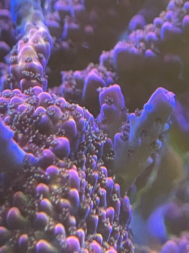 IMG_4137.jpeg