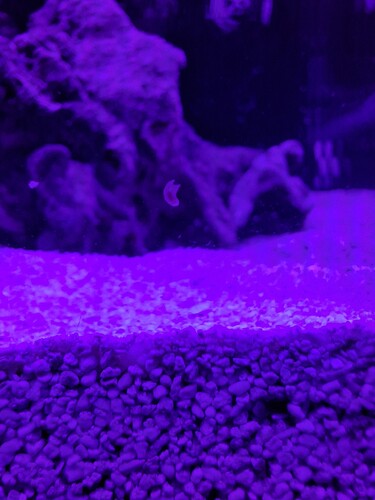20241004_072711.jpg