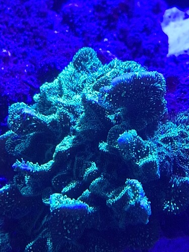 20241109_122533.jpg