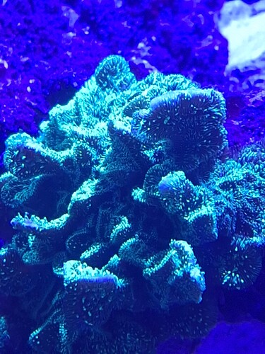 20241109_122508.jpg