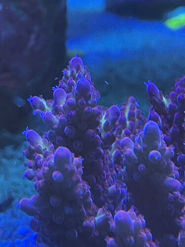 IMG_4282.jpeg