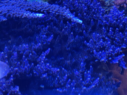 IMG_4369.jpeg