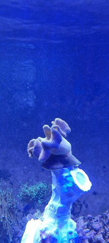 20241130_174600.jpg