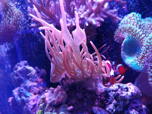20241206_164628.jpg