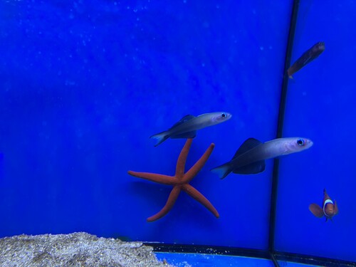 IMG_2450.jpeg