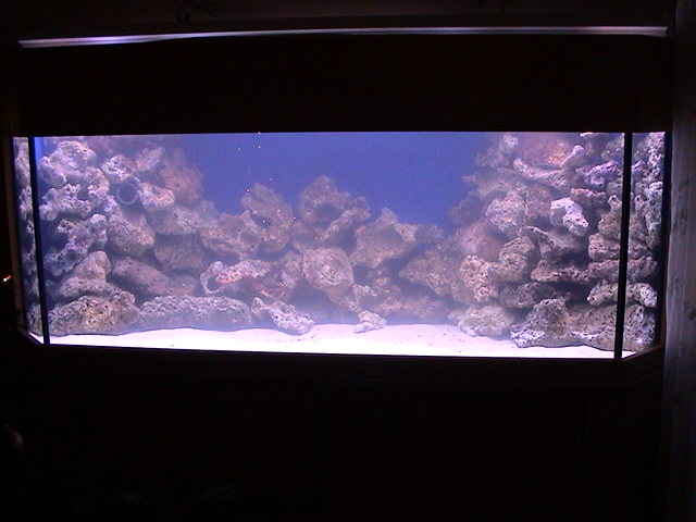 DSC00007.JPG