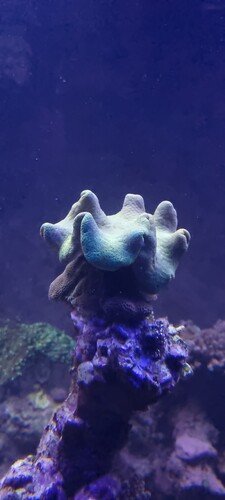 20250112_194226.jpg