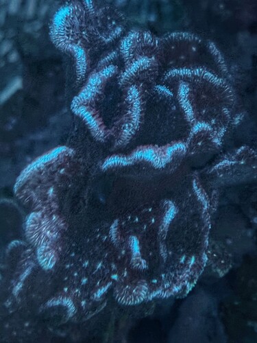 IMG_4512.jpeg