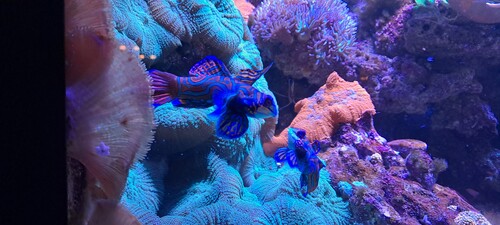 20250117_175526.jpg