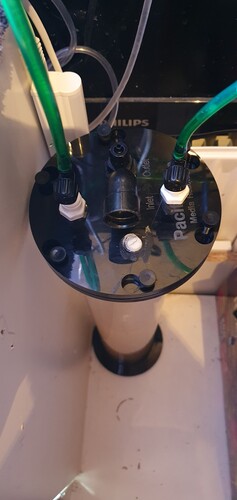 20250129_193516.jpg