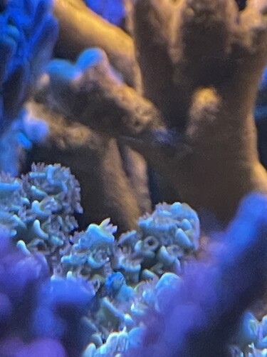 IMG_4775.jpeg
