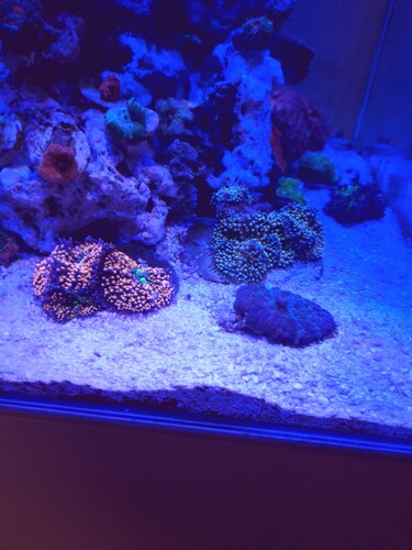 20250215_085147.jpg