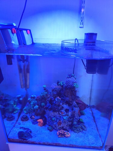 20250223_103533.jpg