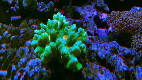 IMG_6933.jpeg