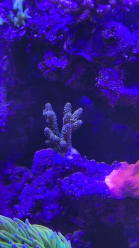 IMG_7601.jpeg