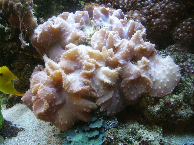 PICT0791.JPG