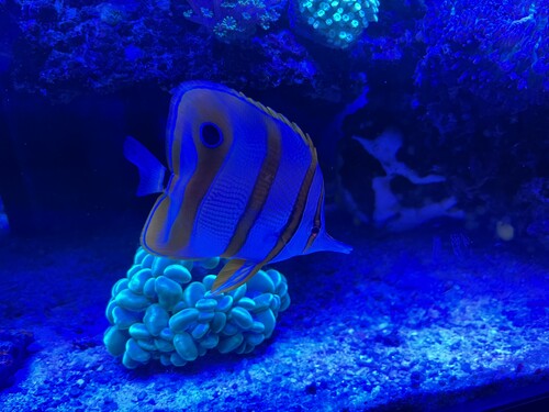 IMG_9042.jpeg