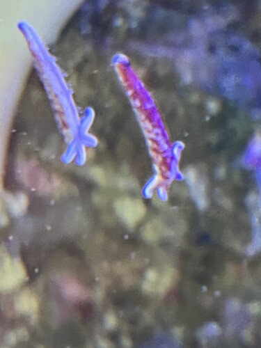 IMG_7013.jpeg