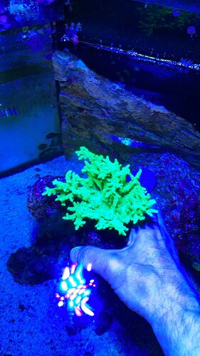 IMG_7238.jpeg