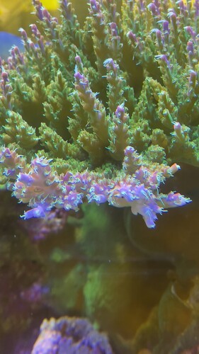 IMG_5098.jpeg