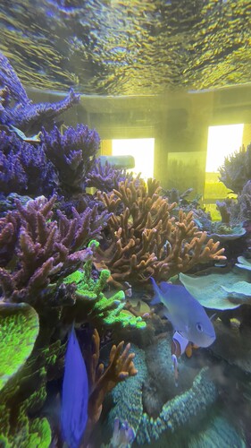 IMG_5102.jpeg