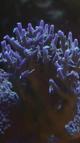 IMG_5107.jpeg