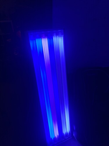 IMG_3495.jpeg