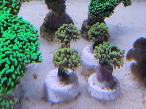 20250427_111256.jpg