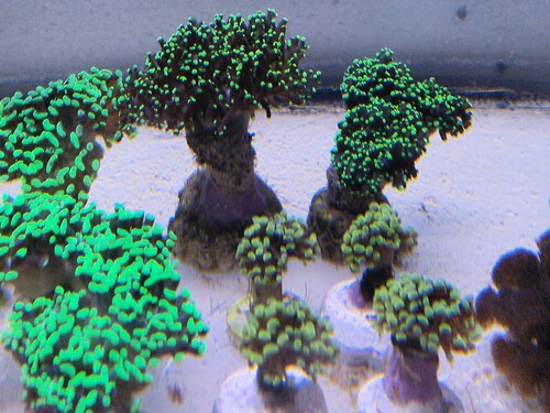 20250427_125313.jpg