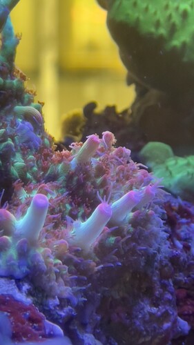IMG_5173.jpeg