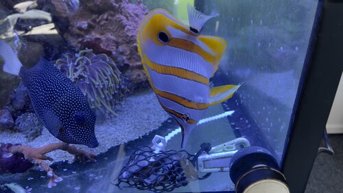 IMG_5189.jpeg