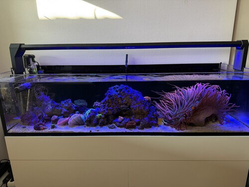 Akvarie 1.jpg