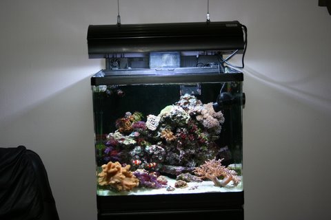 akvarie-HQI.JPG