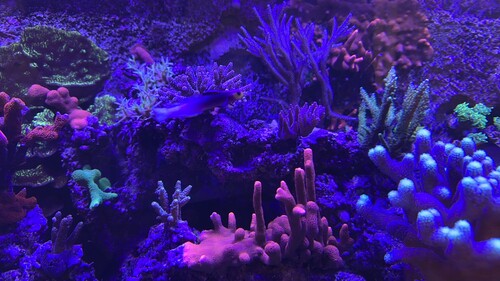IMG_8378.jpeg