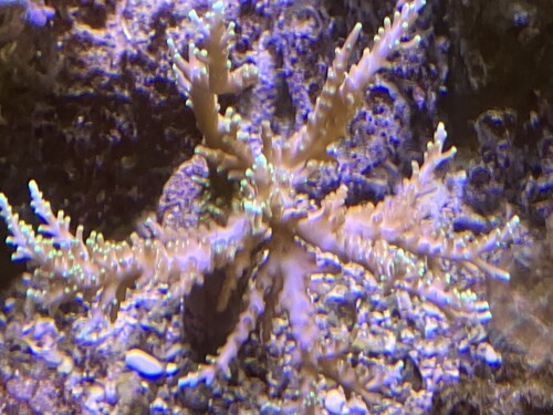 IMG_2851.jpeg