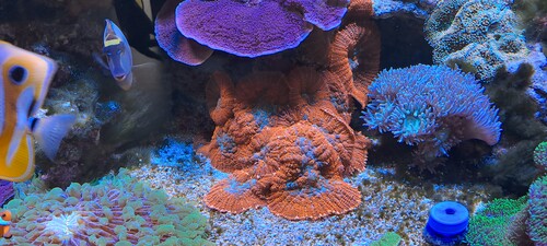 20250702_164947.jpg