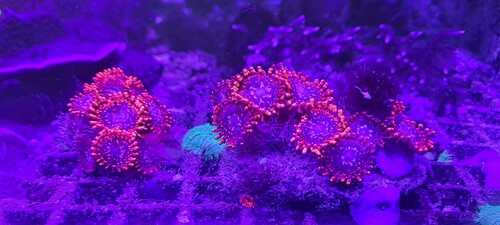20250702_164748.jpg